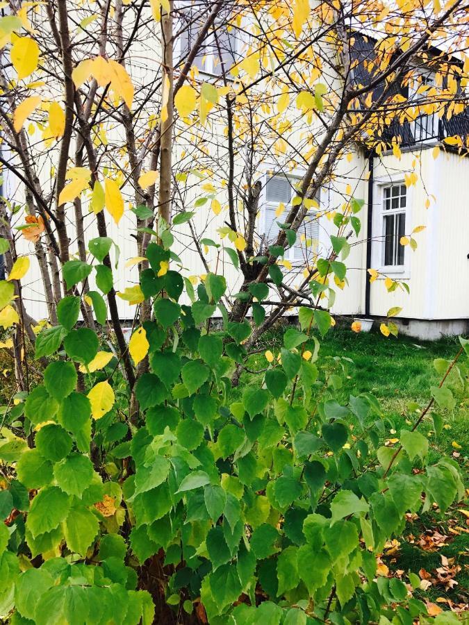 Parkgatan Villa Krylbo ภายนอก รูปภาพ